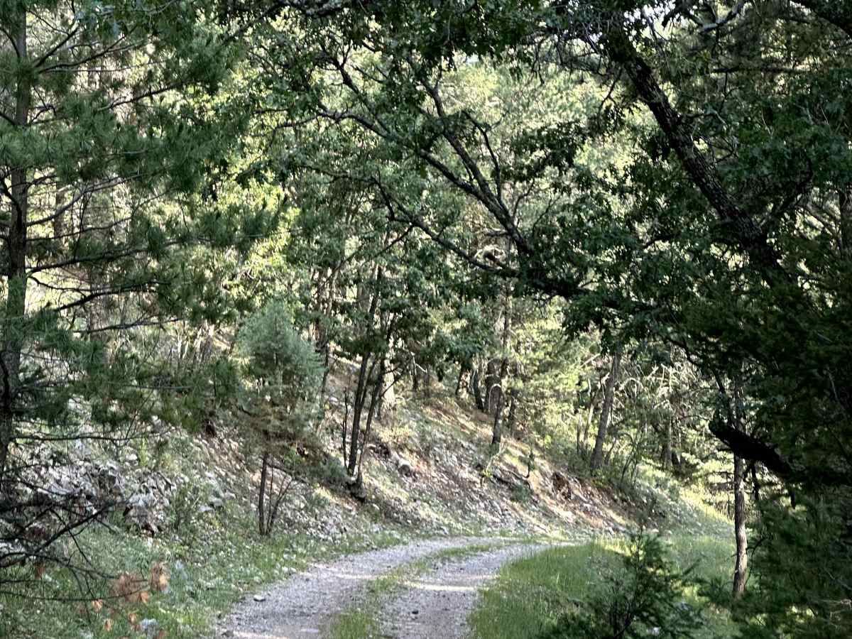 Hughes Canyon Road photo 5