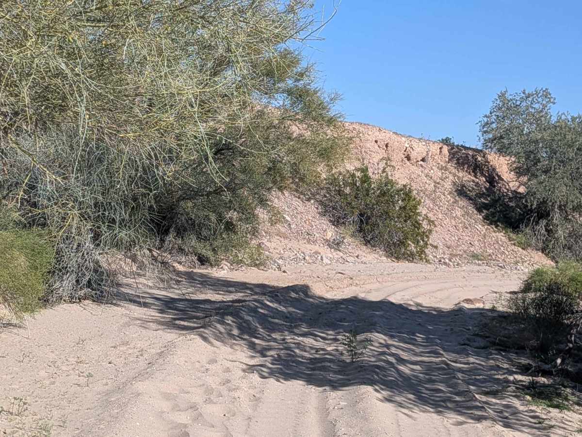 EC1165 photo 2