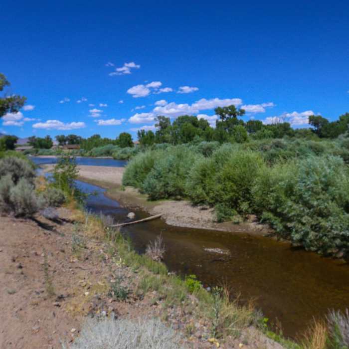 Near Carson River Trail