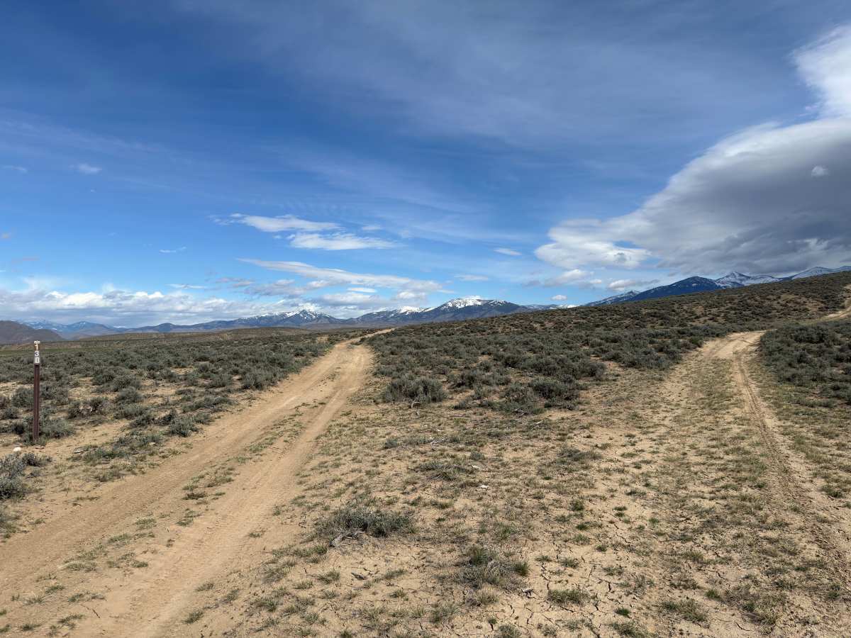 BLM 129 photo 5