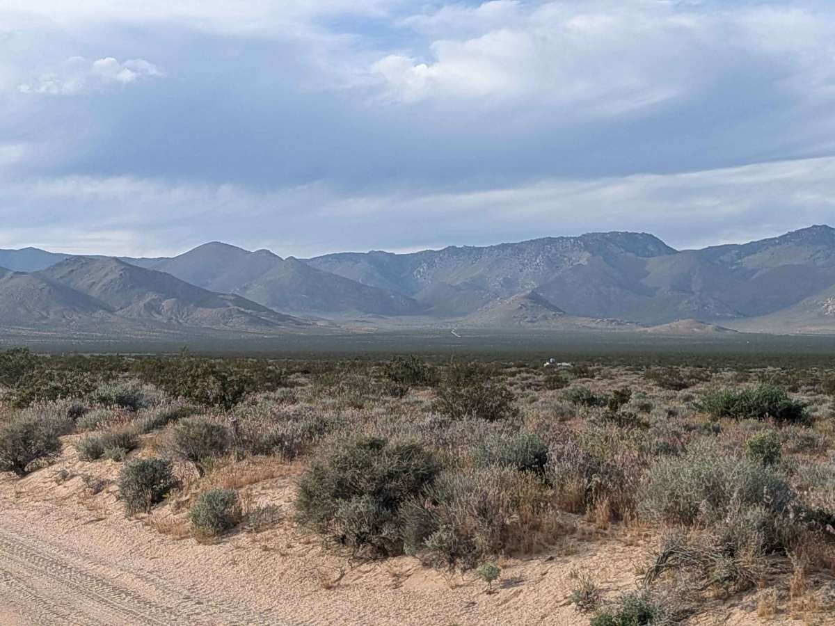 Horse Canyon BLM SC65 South photo 4