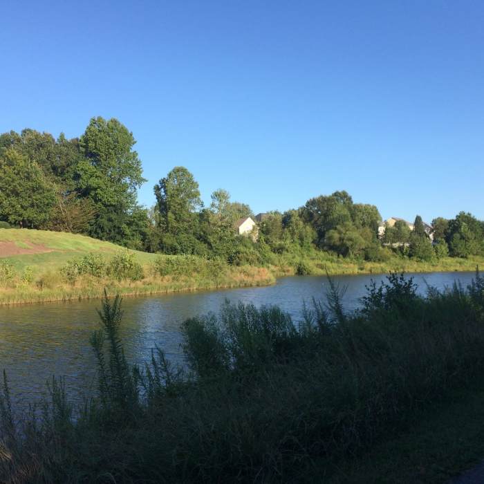Near McDowell Creek Greenway