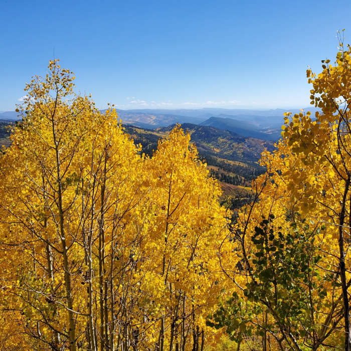 Near Missionary Ridge