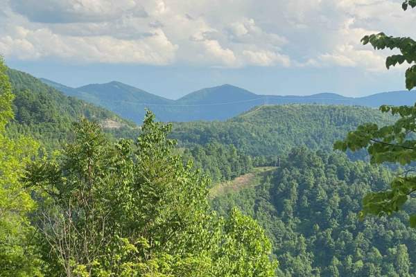 Trail 23 - Flatwoods Road