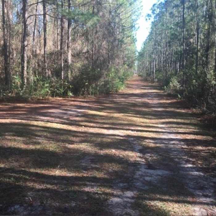 The trail forks at this location from the main trail. Near North Spur Trail Loop