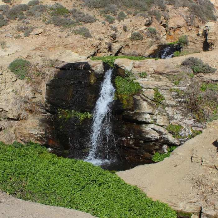 Near Palomarin to Alamere Falls Out and Back