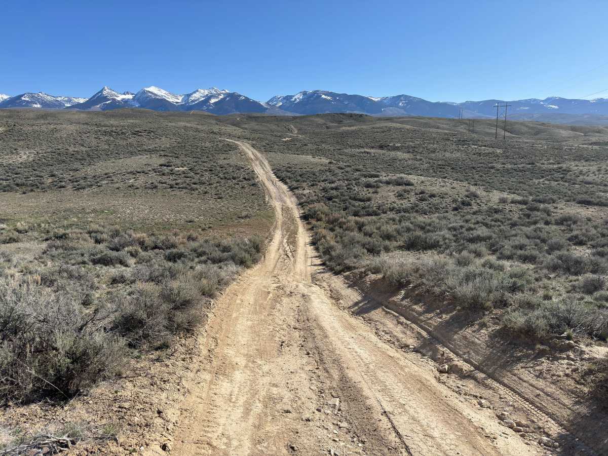 BLM 122 photo 4