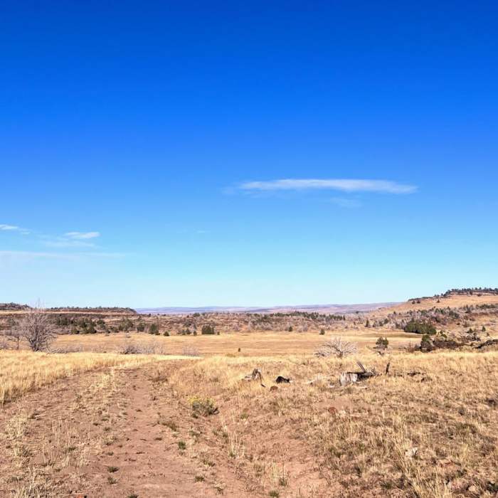 Near Frenchglen Loop Near Frenchglen Loop