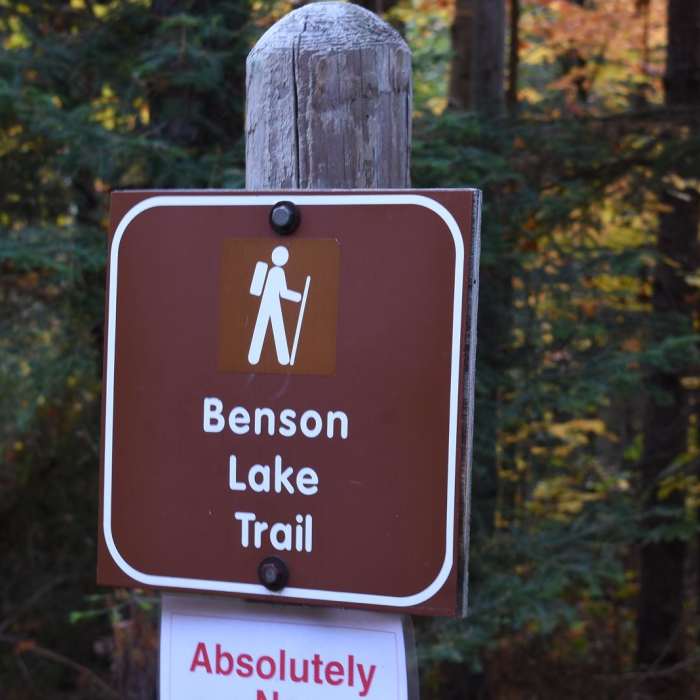 Near Benson Lake Trail Near Benson Lake Trail