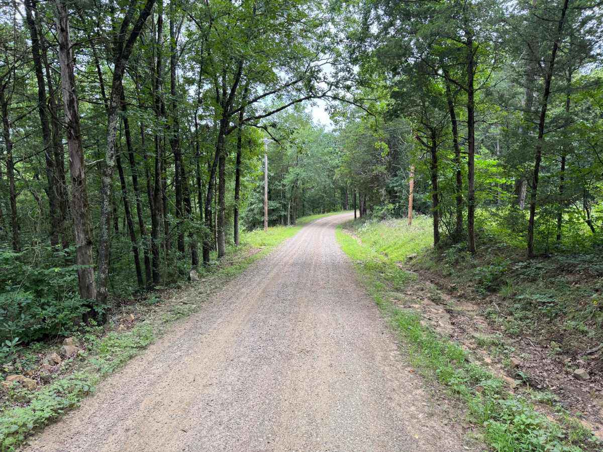 County Road 3546 photo 4