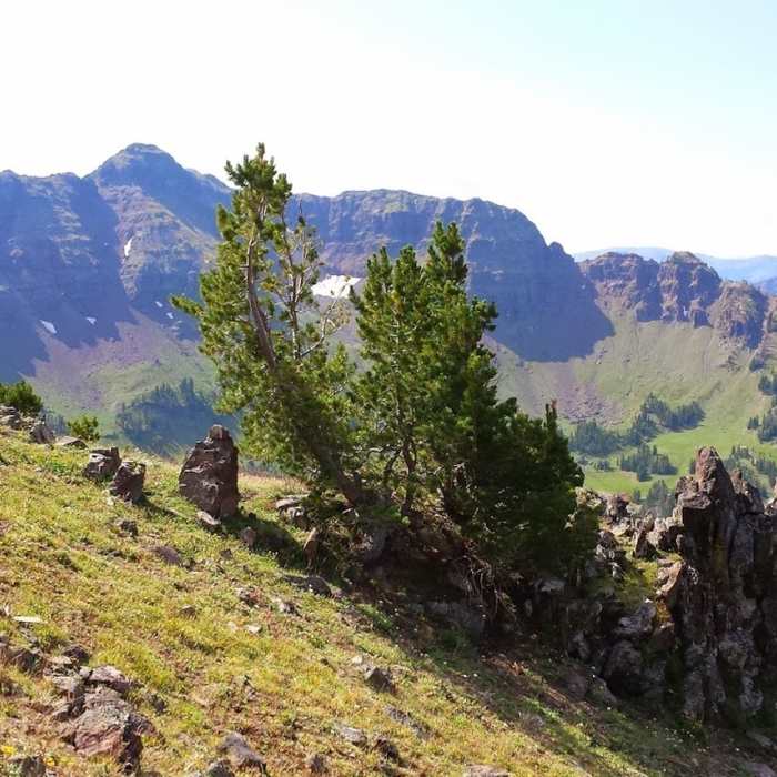 Near The Hyalite Crusher