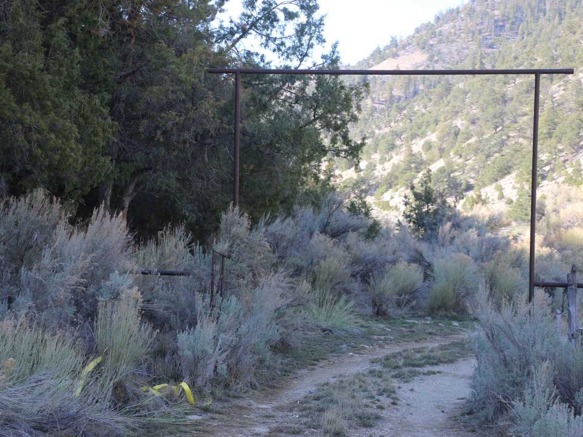 Bear Gulch - FS 10329 photo 2