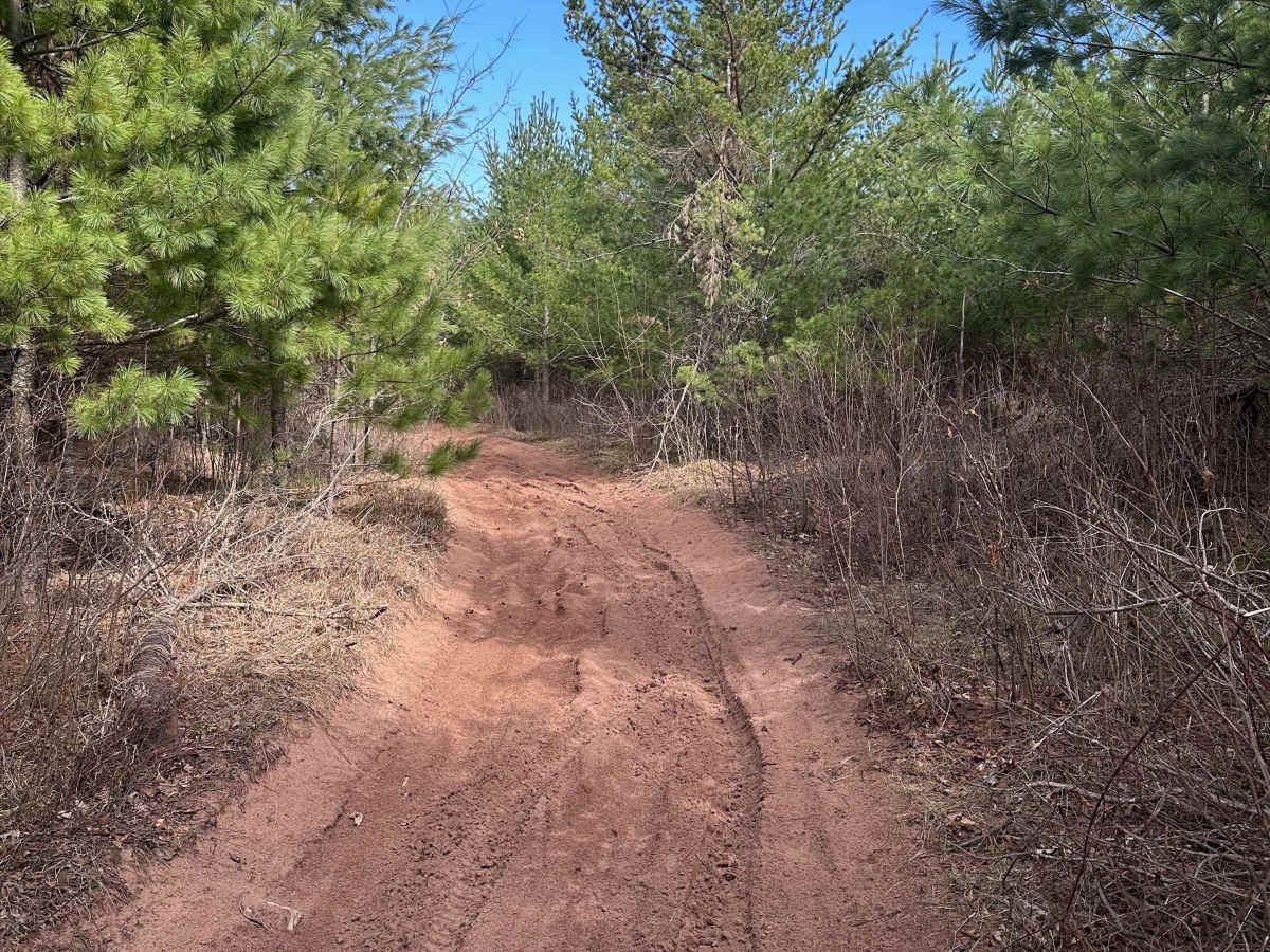 Sandy Pines Trail photo 5