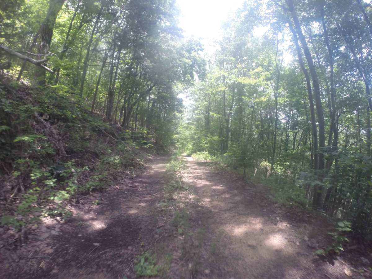 Chestnut Mountain Spur - FS 212C photo 3