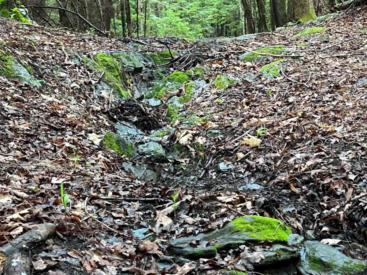 Peterson Road photo 2
