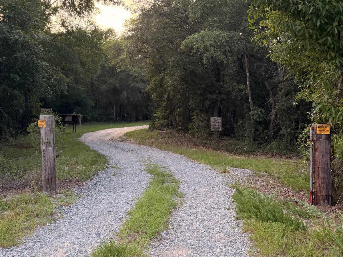 Johnson's Bridge Trail photo 2