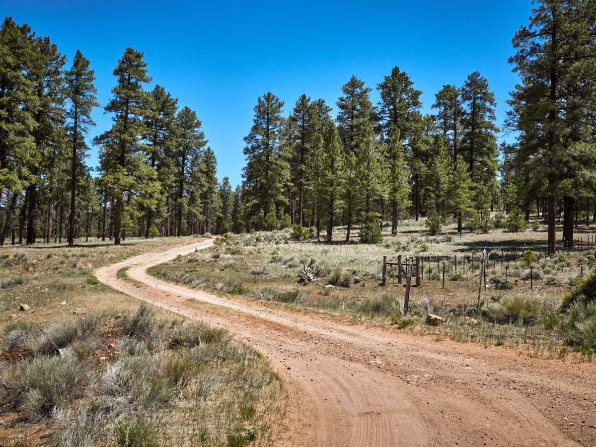 2709 Road trail photo