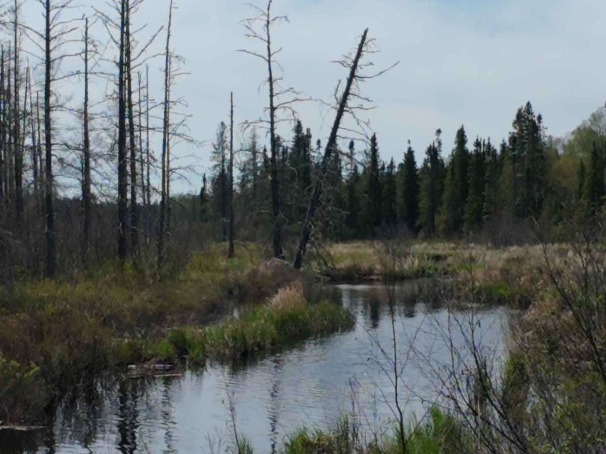 Finger Lake Spur photo 5