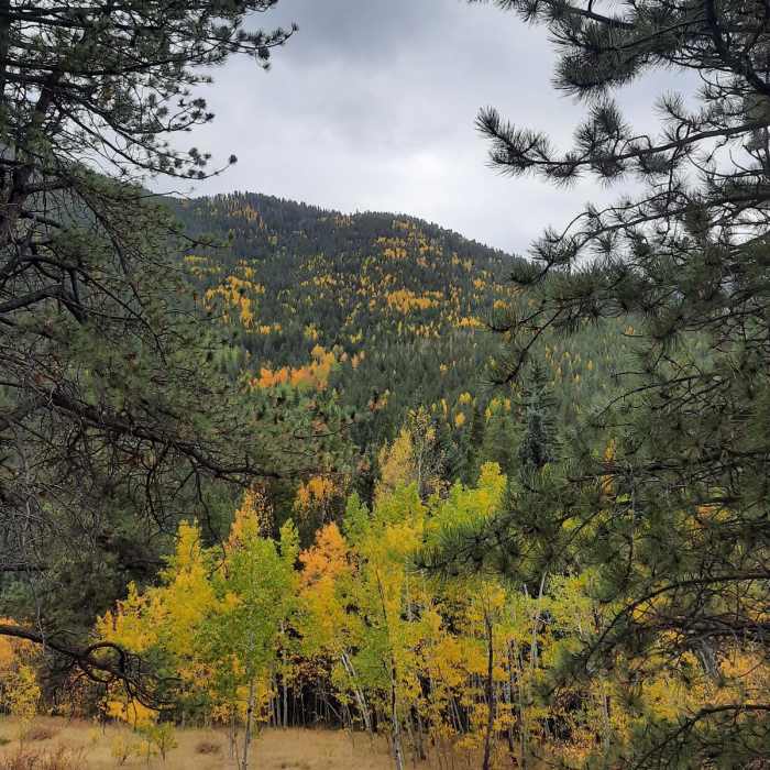 Near Black Bear - Horseshoe Loop