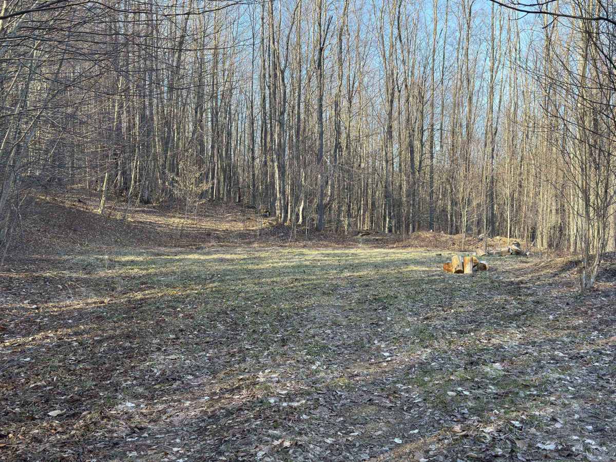 Camp Run - FS 504 photo 4