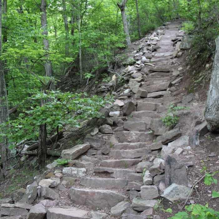 Look mama, no rails on stairs! Near Thousand Steps Trail