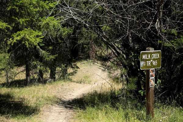 Milk Creek - FS 965 