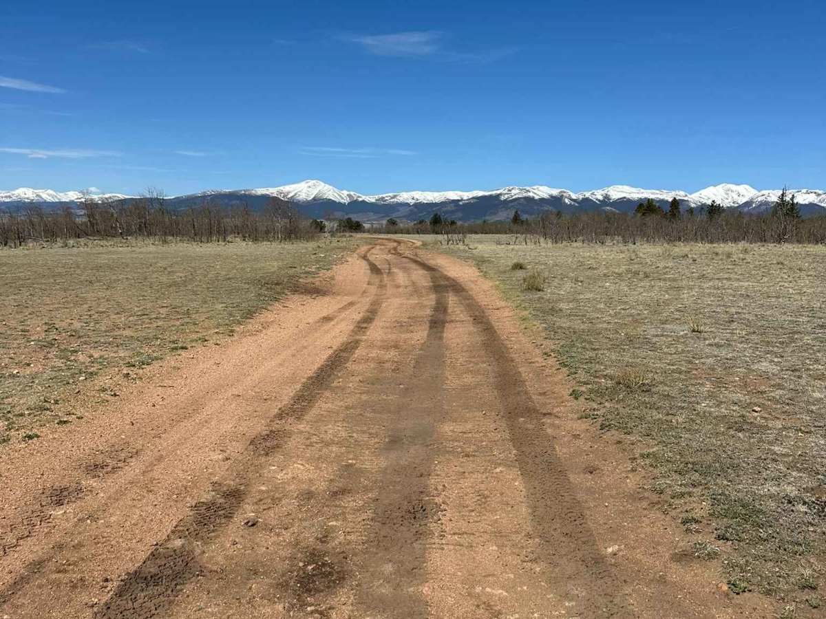 Pearl Road trail photo