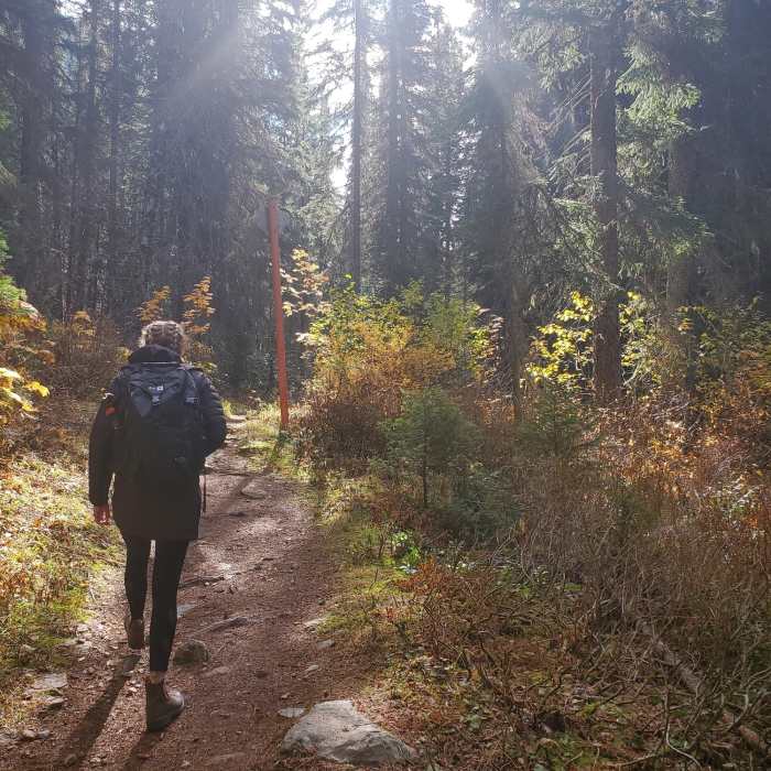 Near Heart Lake Trail #171