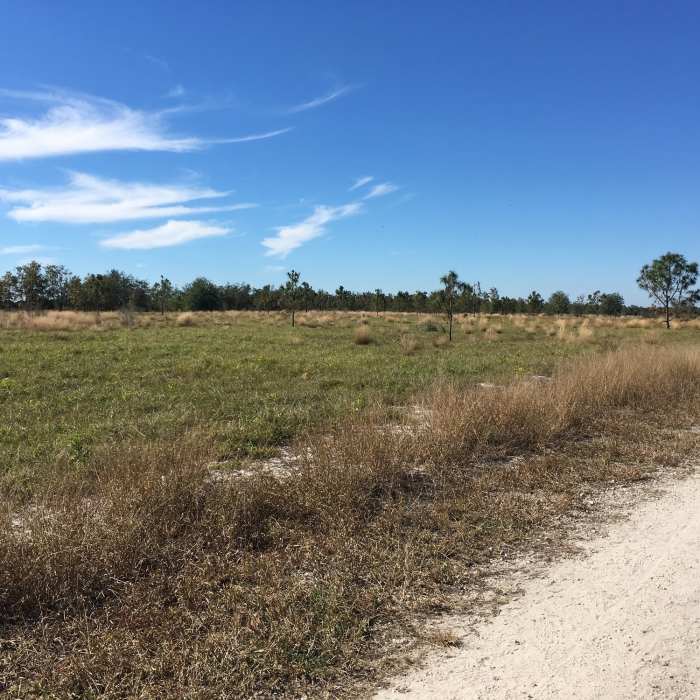 Near Eagle Roost