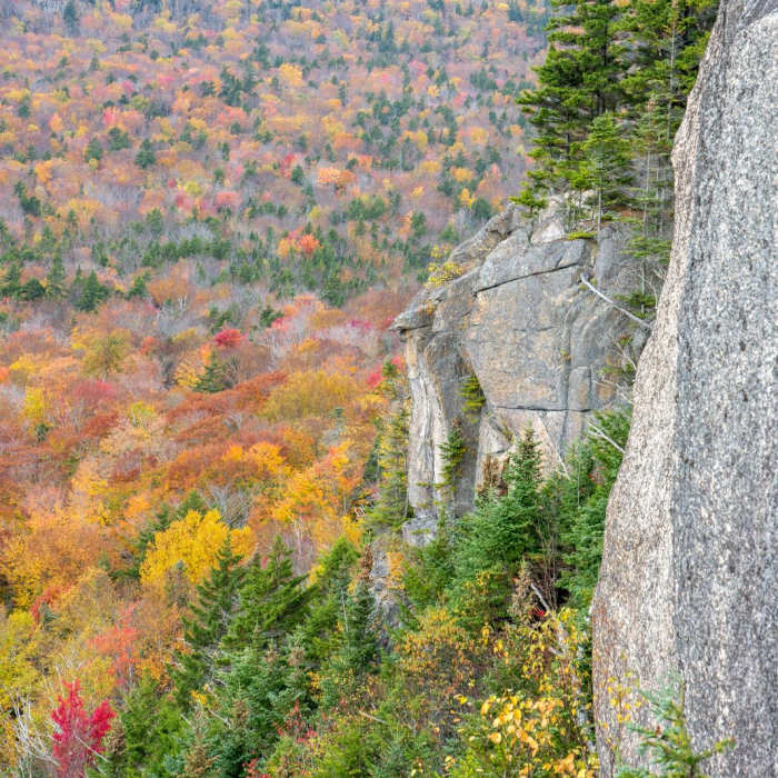Near Mount Pemigewasset