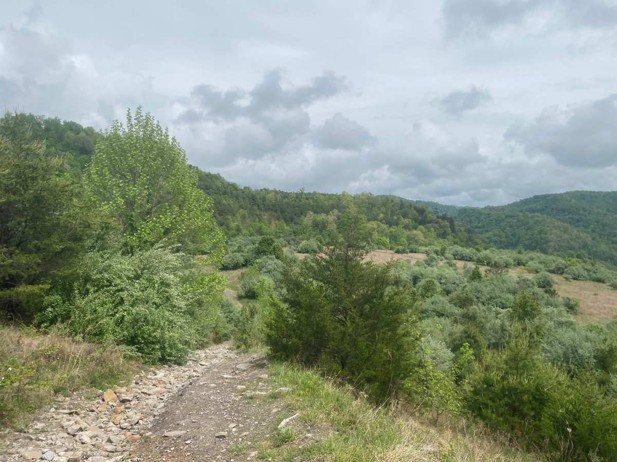 Four Seam Mountain photo 6