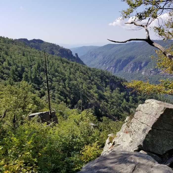 Almost to the top of Table Rock Ultras 50K Near Table Rock Summit Trail