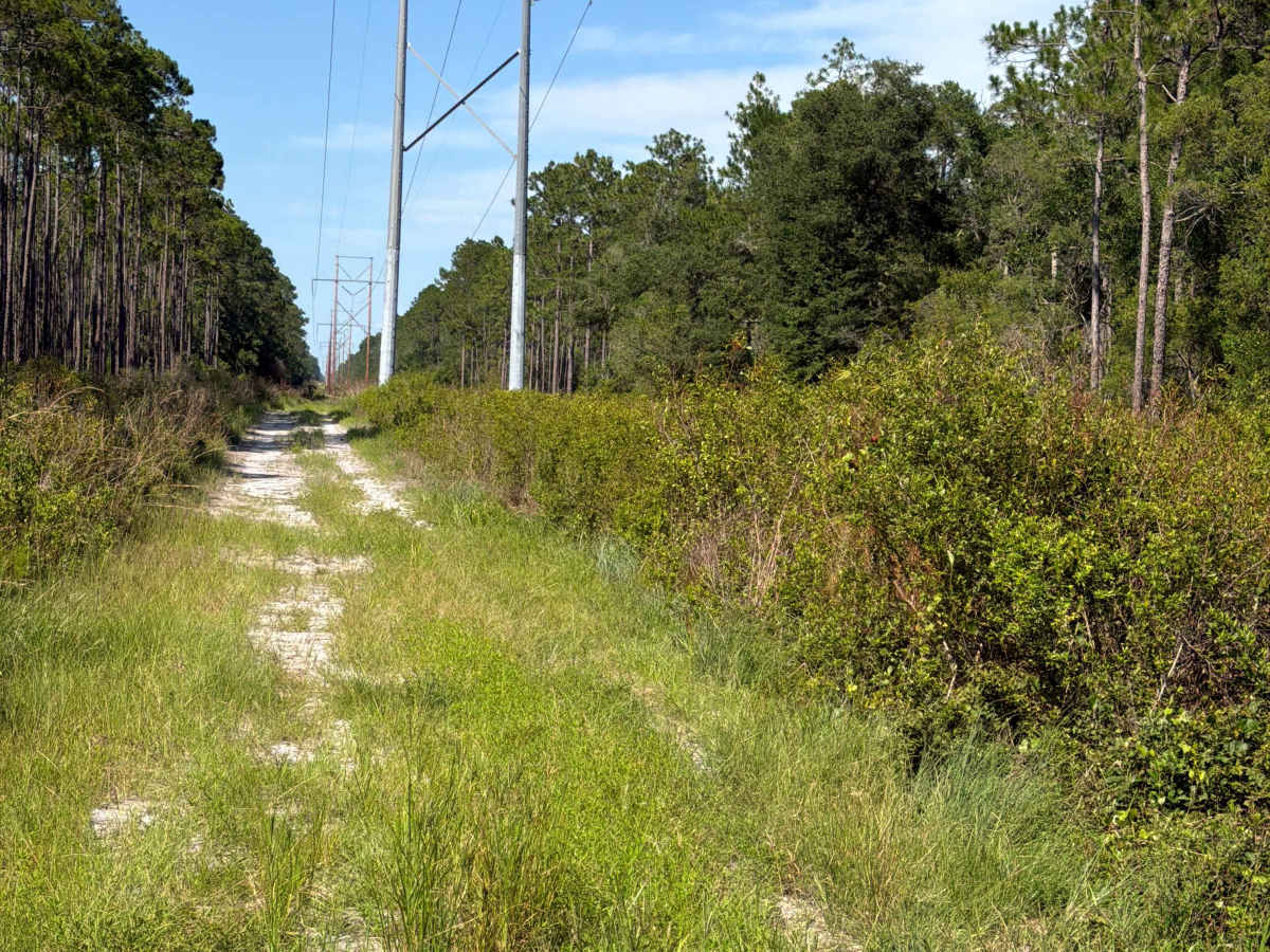 Powerline - FS 341A photo 4