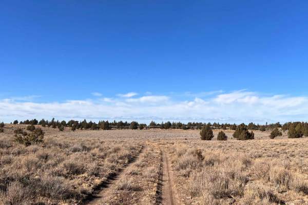 Mustang Tank Trail