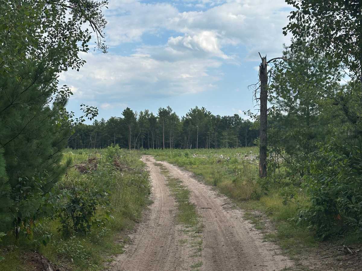 Muskegon Spur photo 2