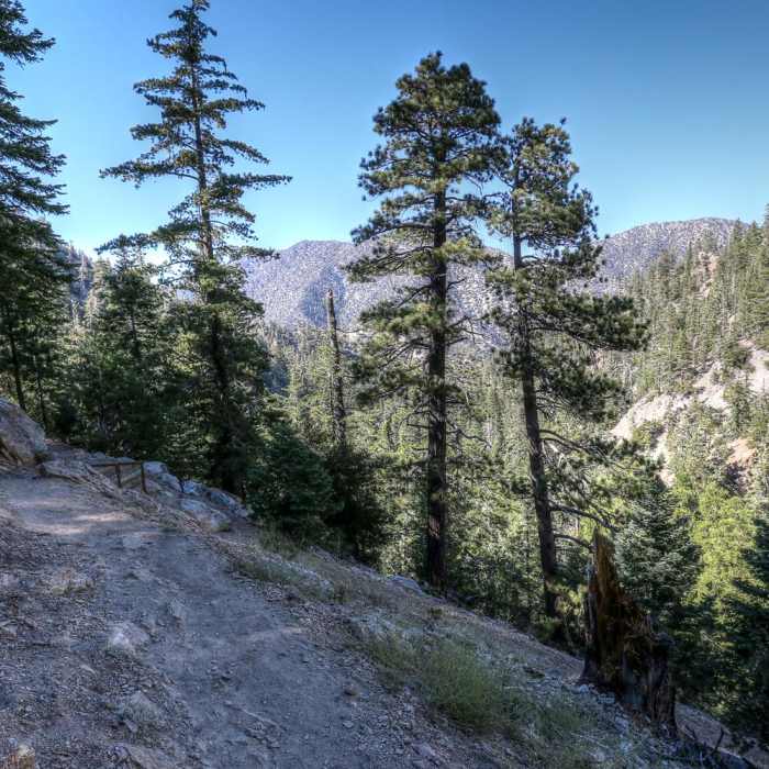 Near Cooper Canyon Falls Out and Back