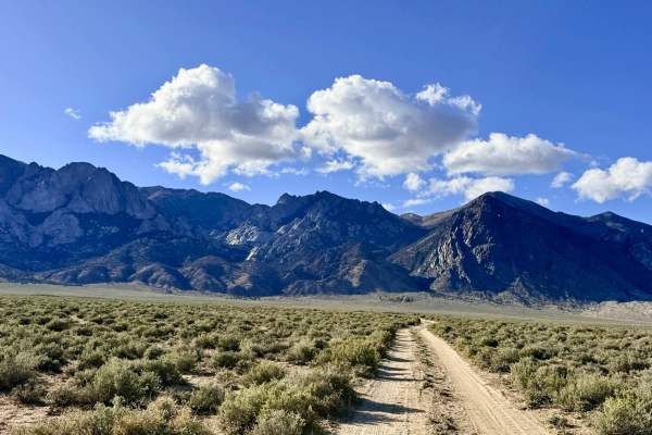 McLeod Creek - FS 43336