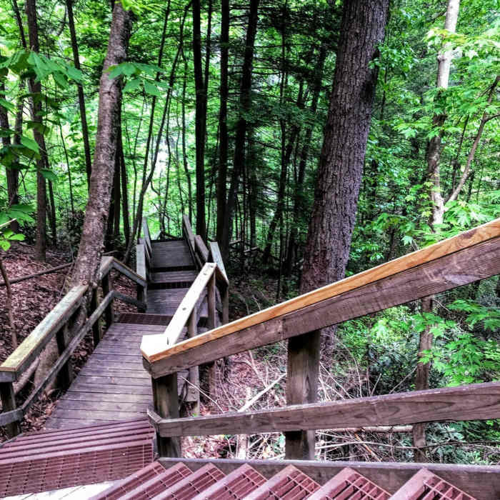 Near Hurricane Falls Trail