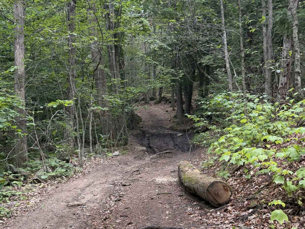 Bear Pond Road photo 4