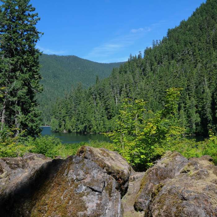 Near Glacier Lake Trail #89