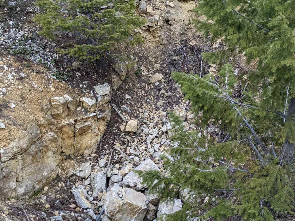 Poison Flats Trail Exploring photo 5
