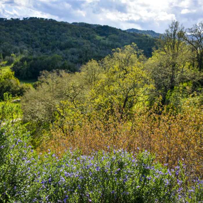 Near Tour of Rancho Canada del Oro
