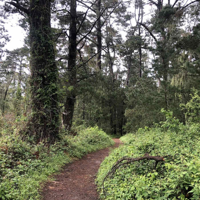 South Plateau Trail Near South Plateau Trail
