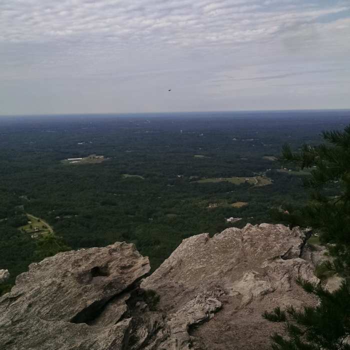 Near Cook's Wall Trail