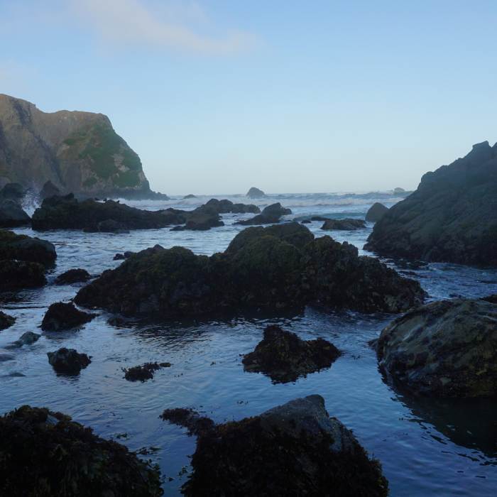 Near Patrick's Point Loop