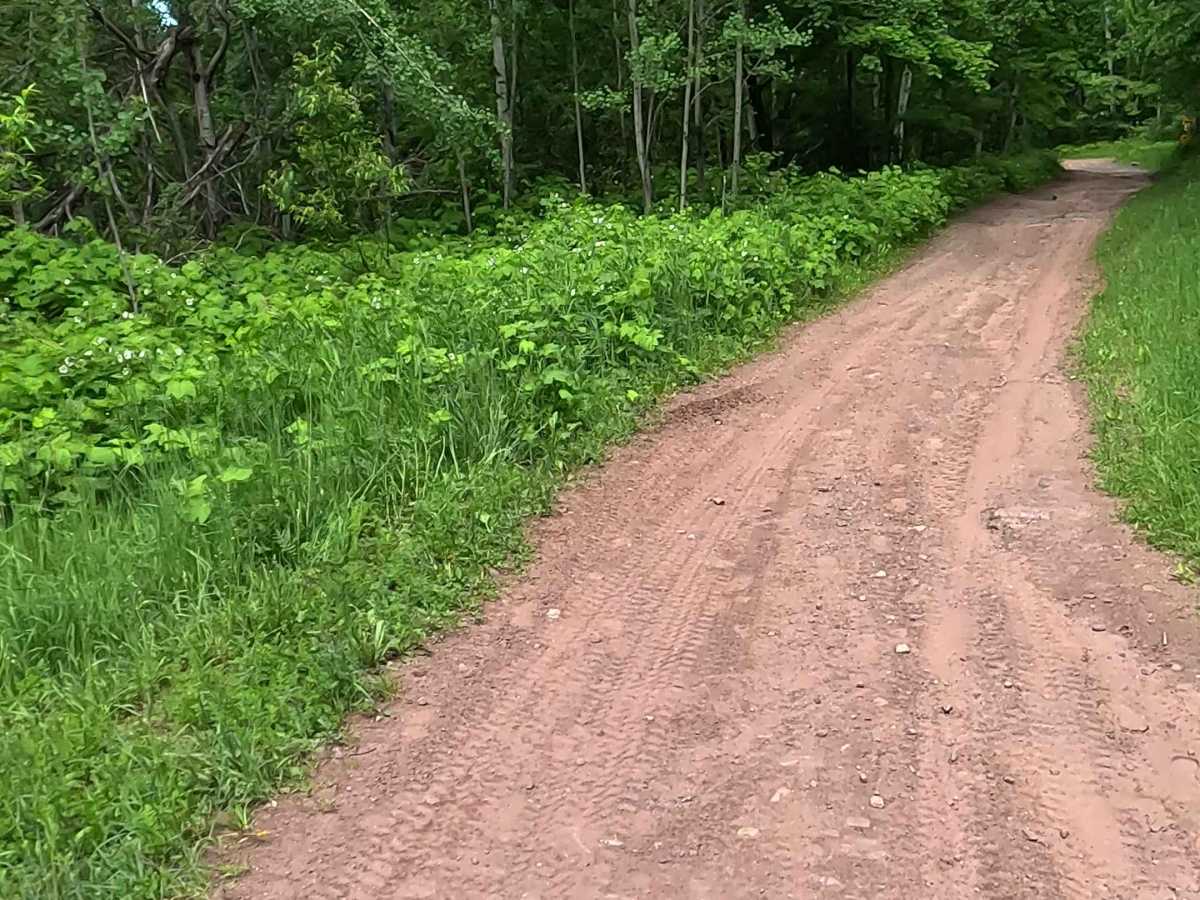 ORV LB Route - UP 14 trail photo