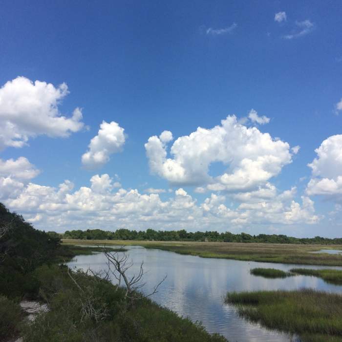 Another view of the marsh from the elevated platform. Near Fort Caroline Trails