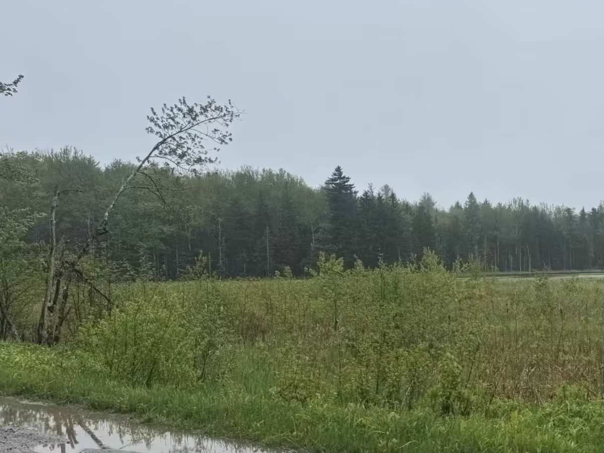 Country Road photo 6