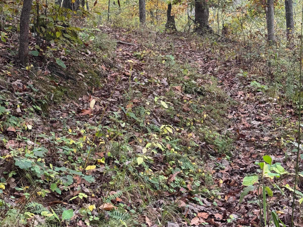 Top ‘O the Hill photo 2