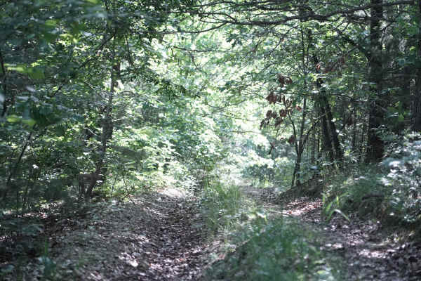 East Ridge Loop